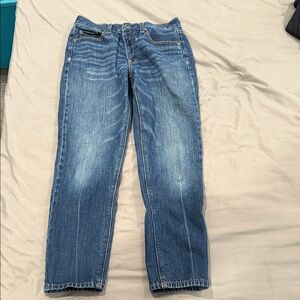 American Eagle Outfitters Blue Straight Jeans